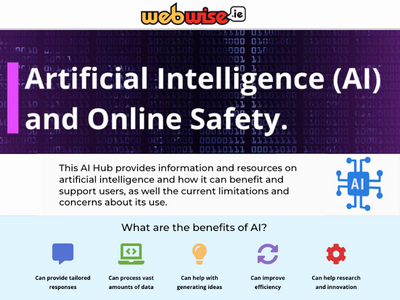 Webwise AI Hub