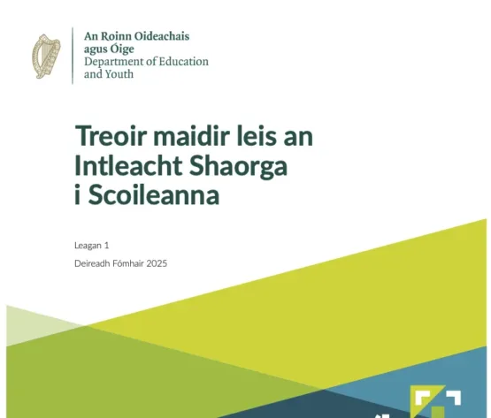 Cover of AI Guidance as Gaeilge