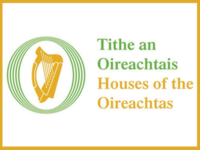 21st Annual FÍS Film Competition: Special Award Category